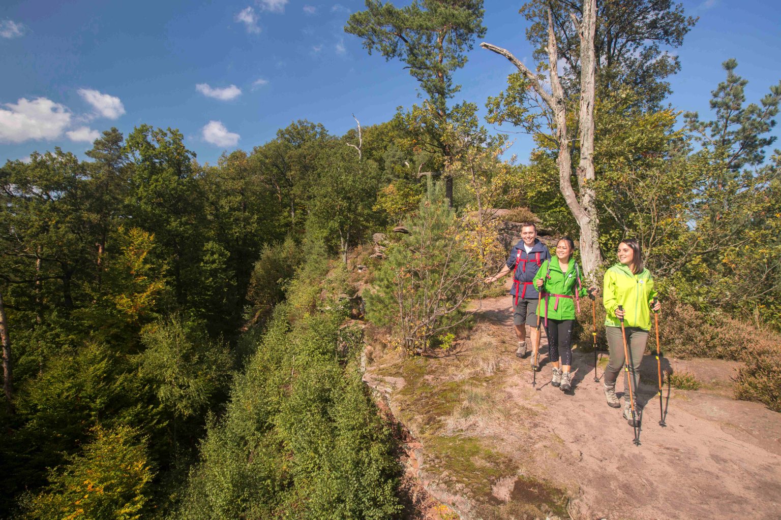 La Randonn E Dans Les Vosges Du Nord Parc Naturel R Gional Des Vosges