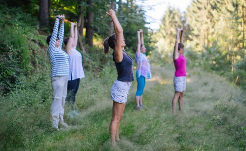 Destination Parc : des offres de séjour originaux dans les Parcs