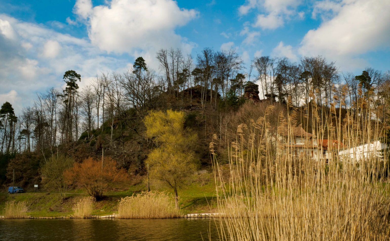 Sortie – sur les traces de la carpe : l’étang de Baerenthal, entre nature et histoire