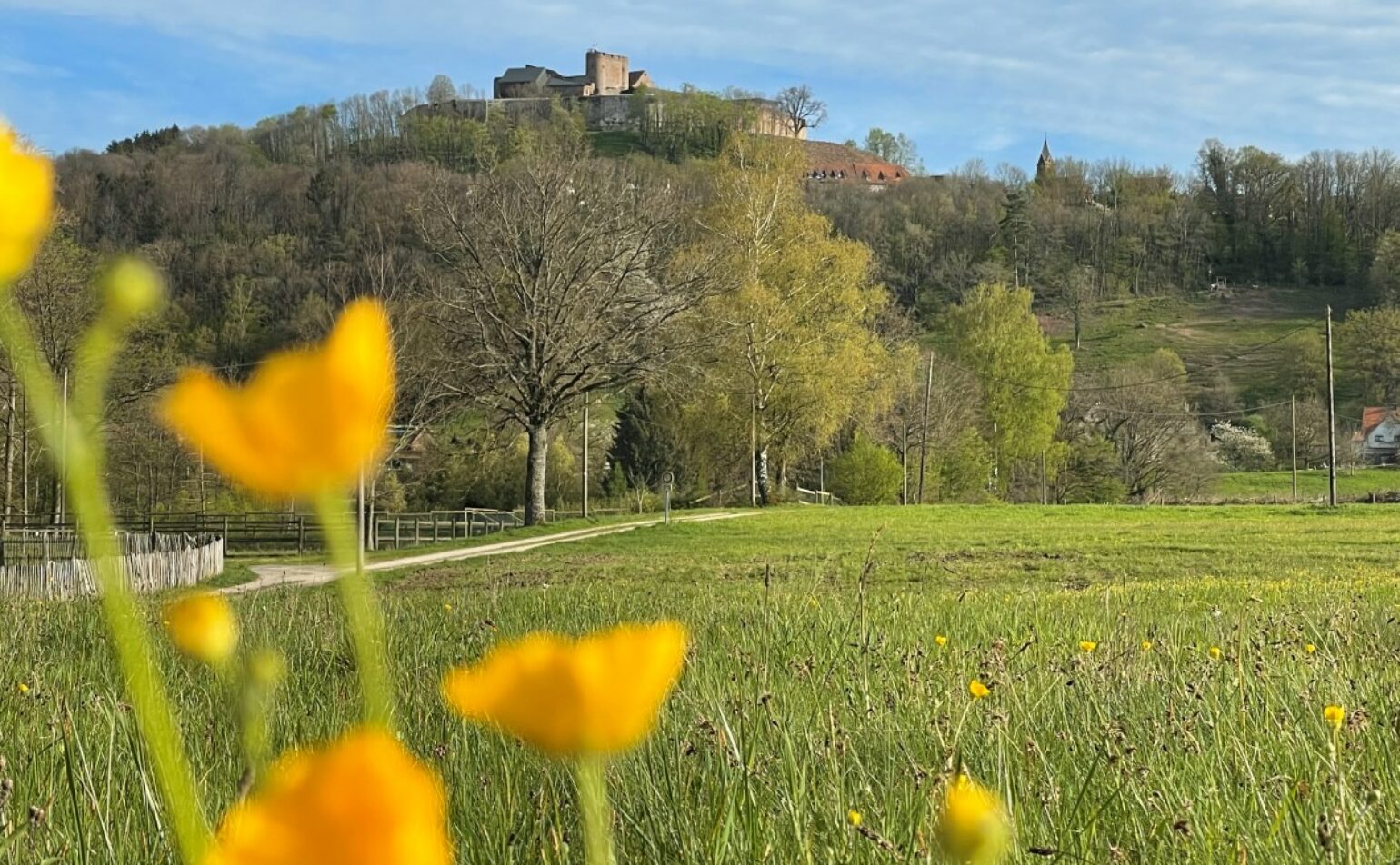 Sortie nature autour du château de Lichtenberg