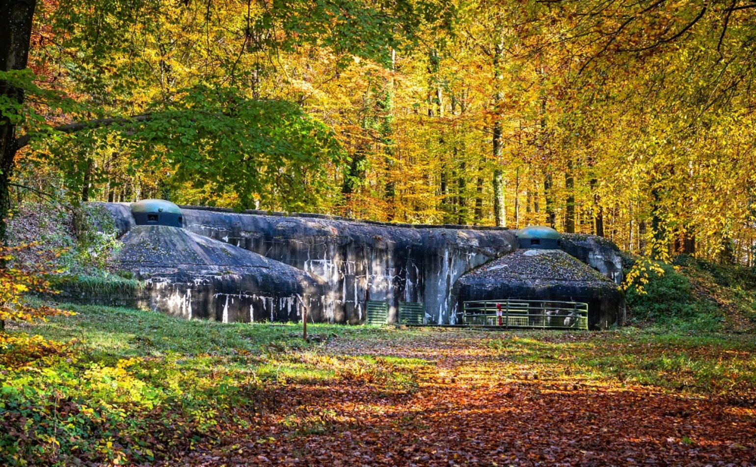 Visite insolite : les secrets du fort de Schoenenbourg